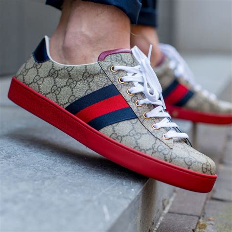 gucci ace gg sneaker